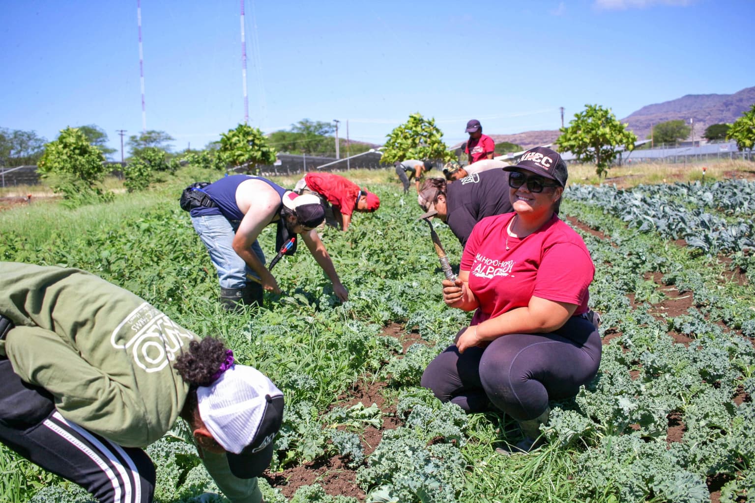 MAʻO Organic Farms