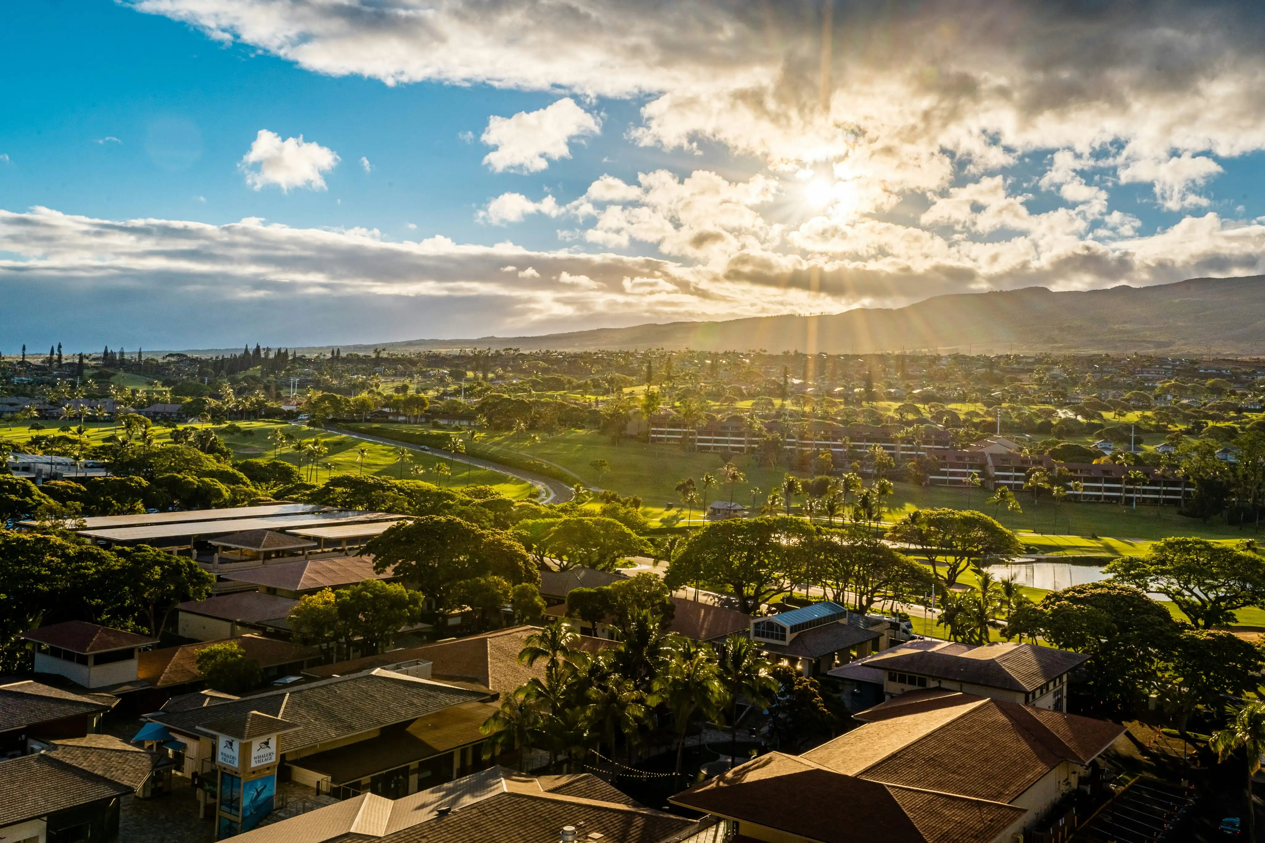 Maui SERG Dashboard